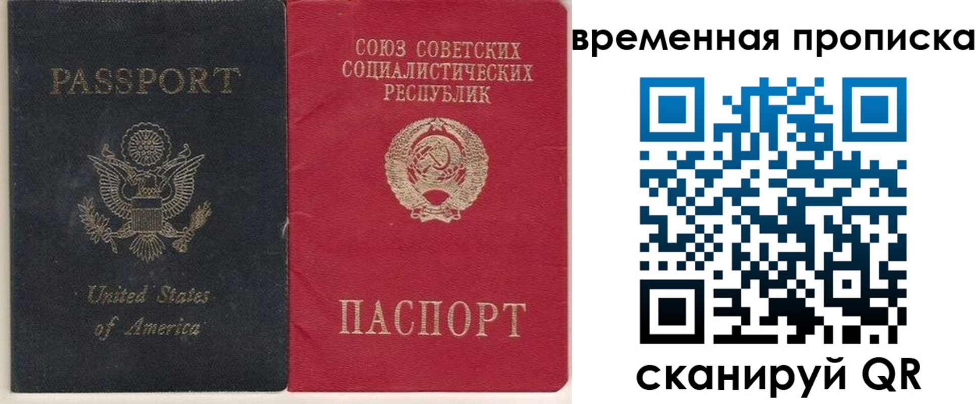 прописка для школы в Петрозаводске